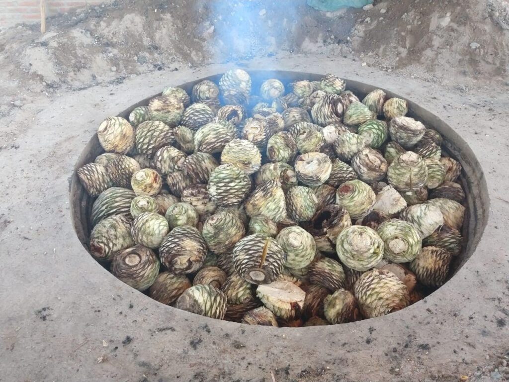 horneada 6